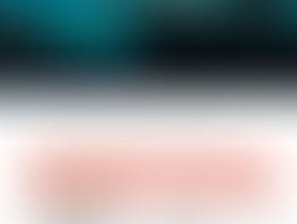 Preise 2017 Segelausflug Mallorca