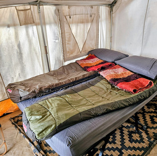 Camping cots and sleeping bags inside an Acatenango base camp tent