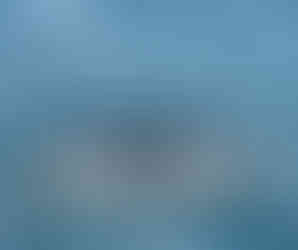 Whale tail rising from the ocean during a whale watching tour in Iceland