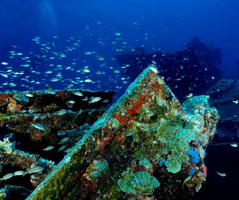 Underwater view of the SS Antilla shipwreck off Aruba, one of the Caribbean’s top diving sites.