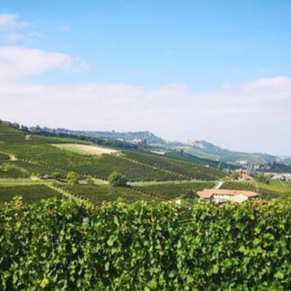 Experience the Real Italy: Piedmont and Tuscany Itinerary
