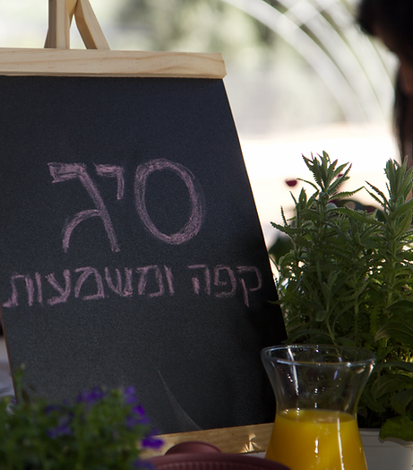 צילום מסך 2025-11-08 ב-13.42.56.png