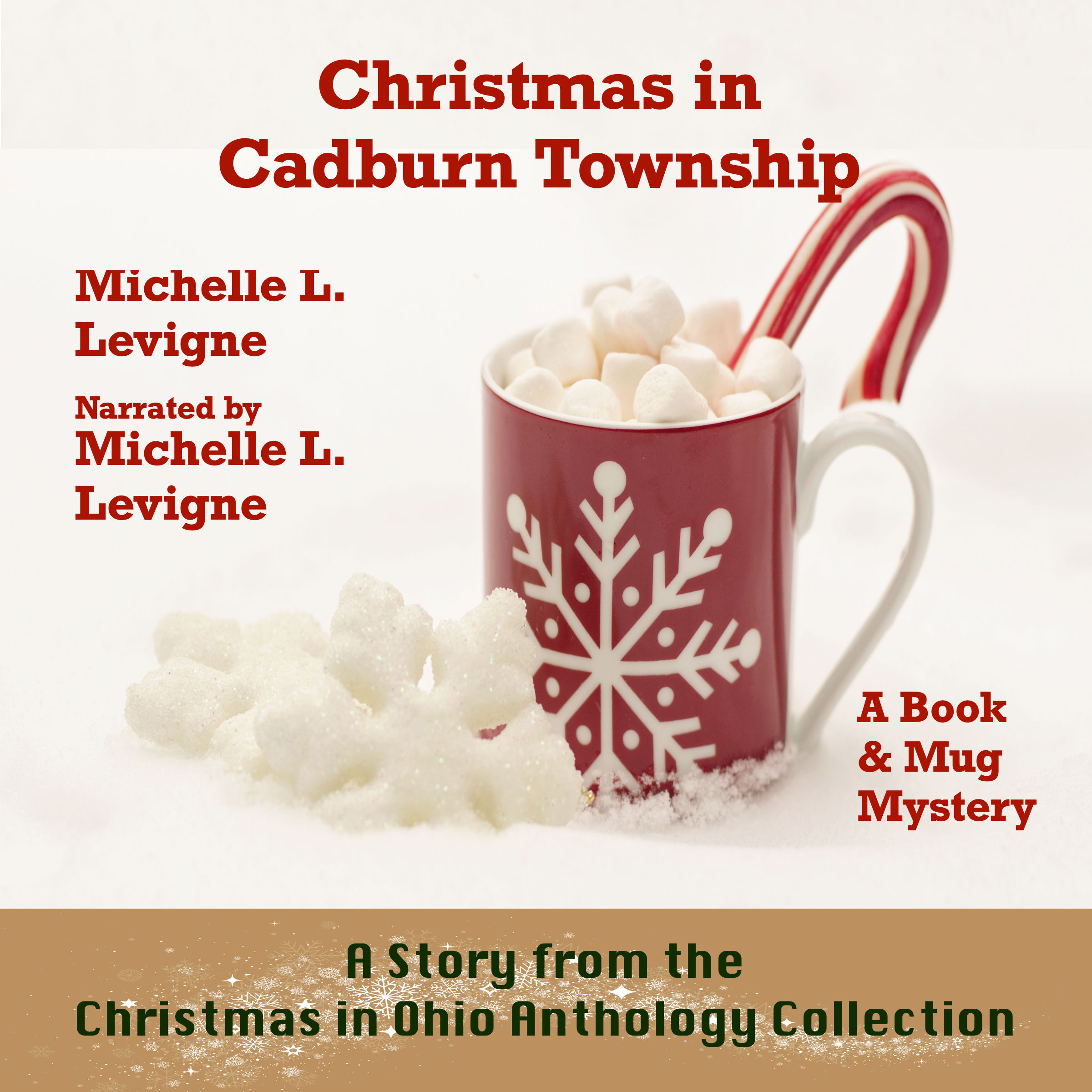 Christmas in Cadburn Township Audiobook