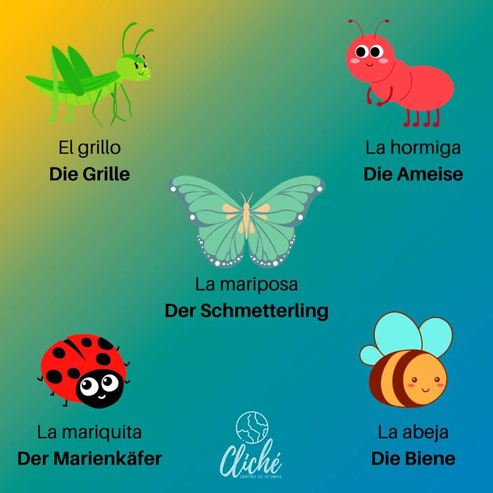 WhatsApp Image 2022-05-23 at 6.20.56 PM