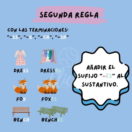 WhatsApp Image 2023-05-31 at 8.13.01 AM (2).jpeg