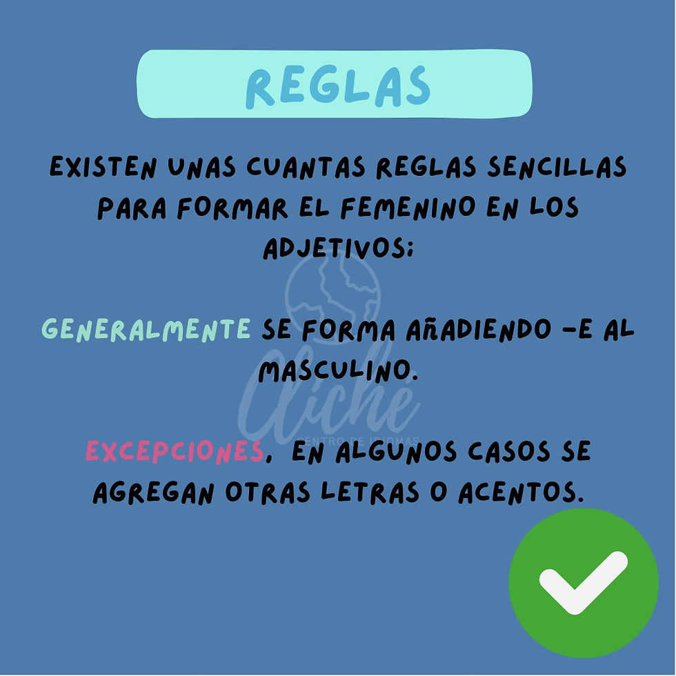 WhatsApp Image 2023-05-24 at 9.36.46 AM