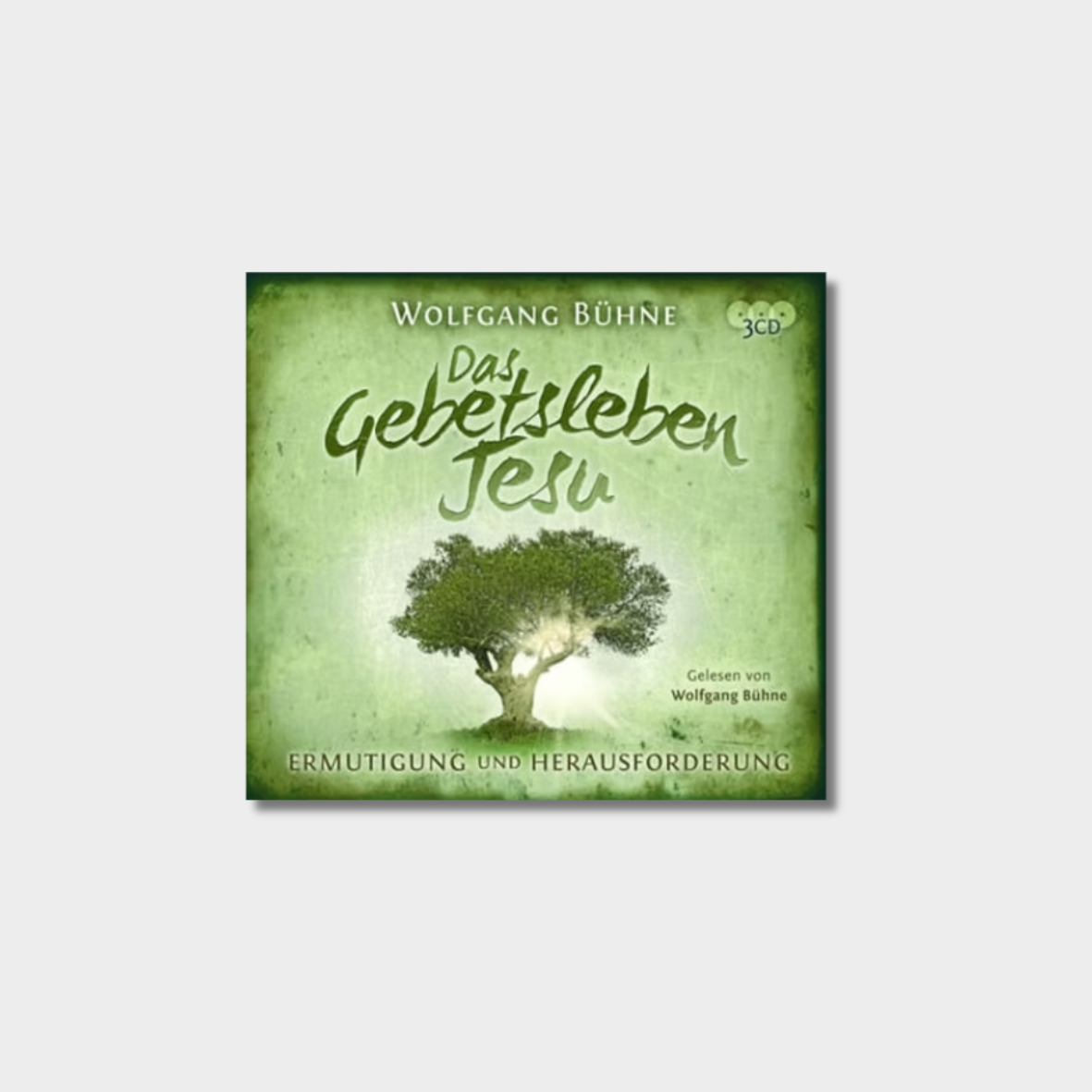 Das Gebetsleben Jesu - Hörbuch