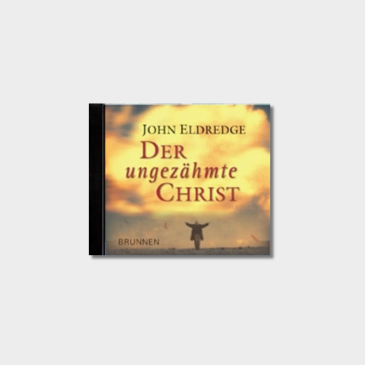 Der ungezähmte Christ - Hörbuch MP3