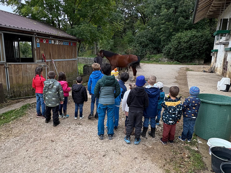 Une journée pendant les vacances d’automne au Signol'air