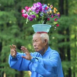 Yang style Tai Chi prevents falls, there is now top level evidence for this.