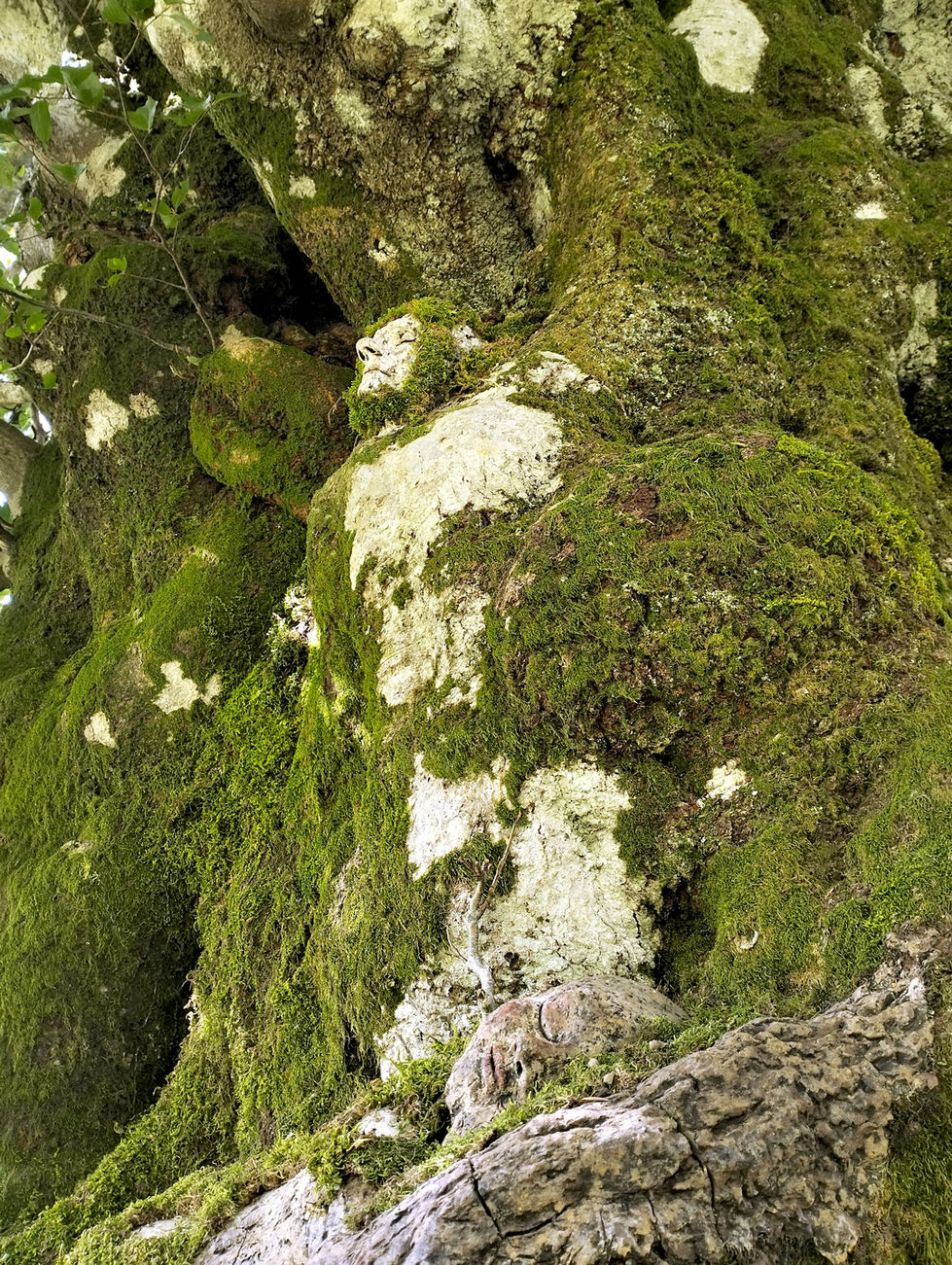Land art - scultura biodegradabile in argilla, paglia e colori naturali