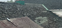 Picture8.png
