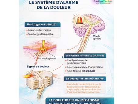 Pourquoi ressentons-nous la douleur ? Guide 2026  Méta-description :Comprendre pourquoi nous ressentons la douleur et comment fonctionne le système d’alarme du corps. Solutions en cas de douleur chronique.  URL :/pourquoi-douleur-chronique