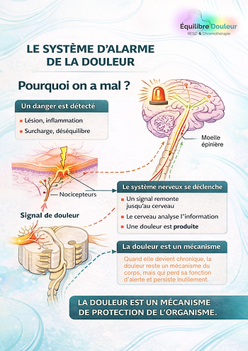 Mécanismes de la douleur - Système d'alarme du corps humain Inserm