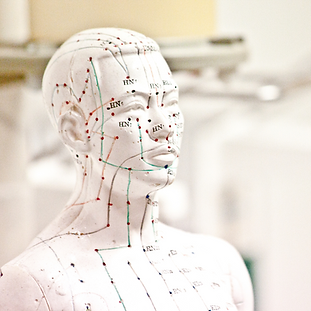 L'image montre un buste de mannequin avec des points d'acupuncture marqués. Ces points sont généralement utilisés pour illustrer les zones spécifiques du corps en acupuncture, servant de guide visuel pour les traitements de la RESC.