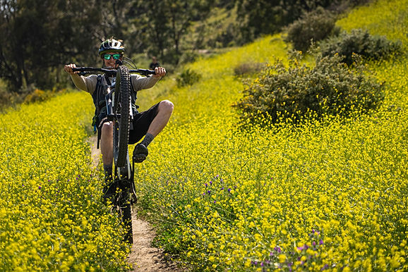 Enduro mountain biking Malaga Mountain bike holidays Spain Enduro biking tours Malaga Guided mountain bike tours Malaga Mountain biking Andalusia Adventure biking Malaga Enduro biking Spain Mountain bike rental Malaga Mountain biking holidays Malaga Enduro trails Malaga
