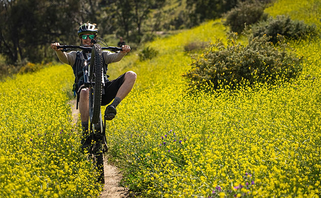 Enduro mountain biking Malaga Mountain bike holidays Spain Enduro biking tours Malaga Guided mountain bike tours Malaga Mountain biking Andalusia Adventure biking Malaga Enduro biking Spain Mountain bike rental Malaga Mountain biking holidays Malaga Enduro trails Malaga