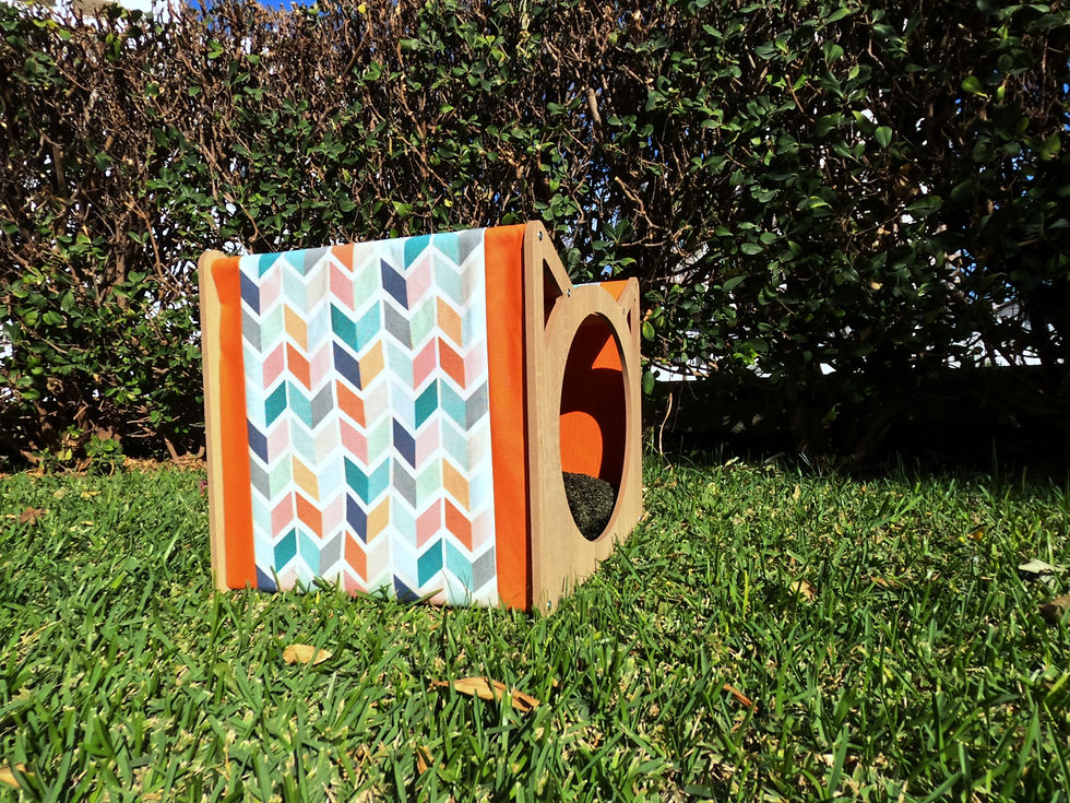 Küçük resim: Kedi Kafası Kedi Evi