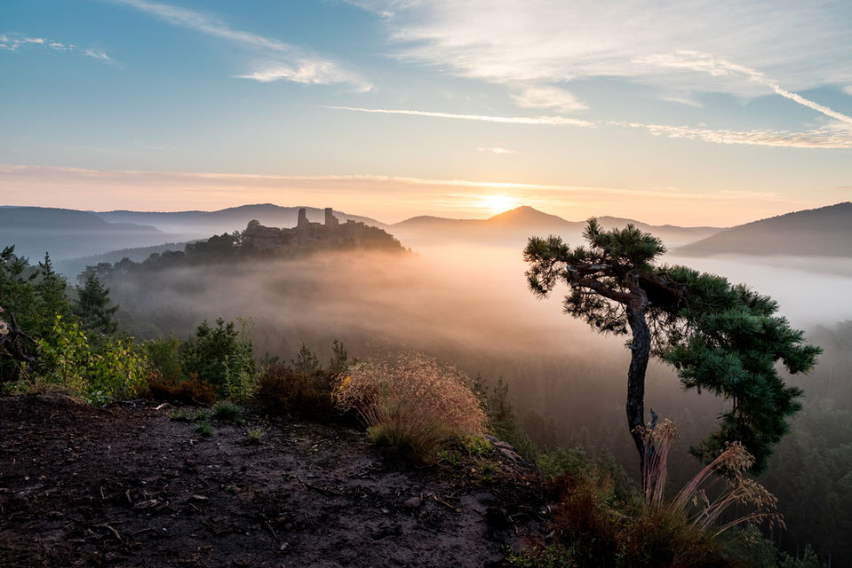 Burg Altdahn im Nebelmeer bei Sonnenaufgang