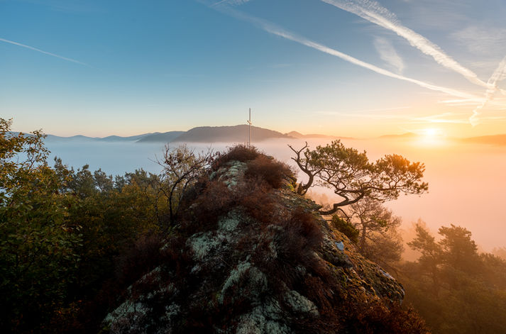 Nesselberg im Pfälzerwald zum Sonnenaufgang