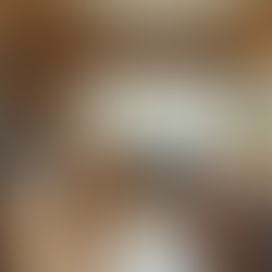 Montando Seu Motorhome: Dicas e Inspirações