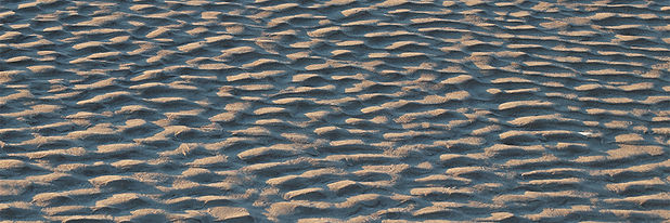 wx beach 0278 1mb.jpg
