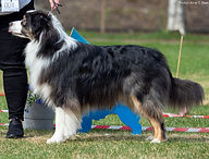 P1010788 kopi_edited.jpg