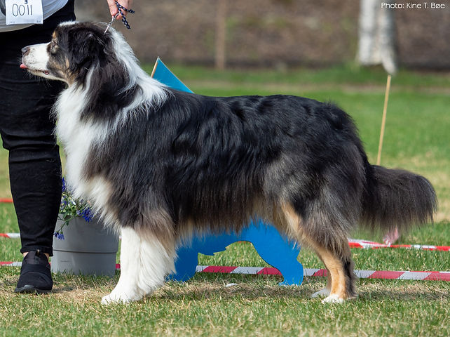 P1010788 kopi_edited.jpg