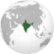 INDIA GLOBE.jpeg