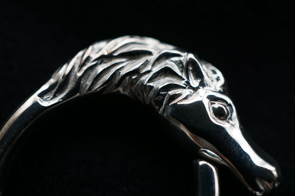サムネイル： NICENESS  "AMON" NN Horse Ring (Silver)