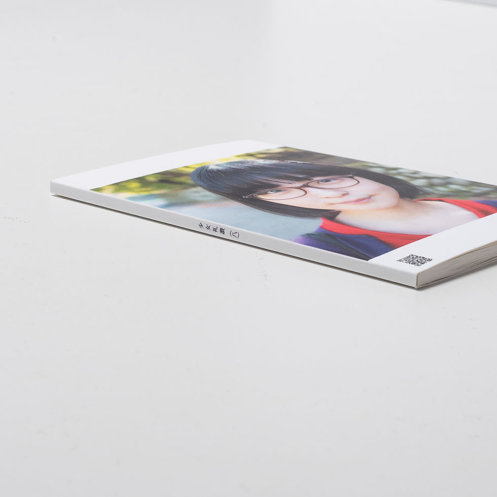 サムネイル： 極私的写真集『少女礼讃（八）』【50部限定】