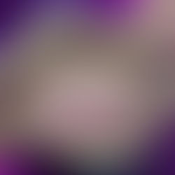 A Toga Não é Escudo: A Hermenêutica de Gênero e o Desmonte da Defesa Patriarcal na APn 1.079/DF