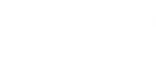Technical Partner