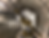 cedd_poshantunnel_02