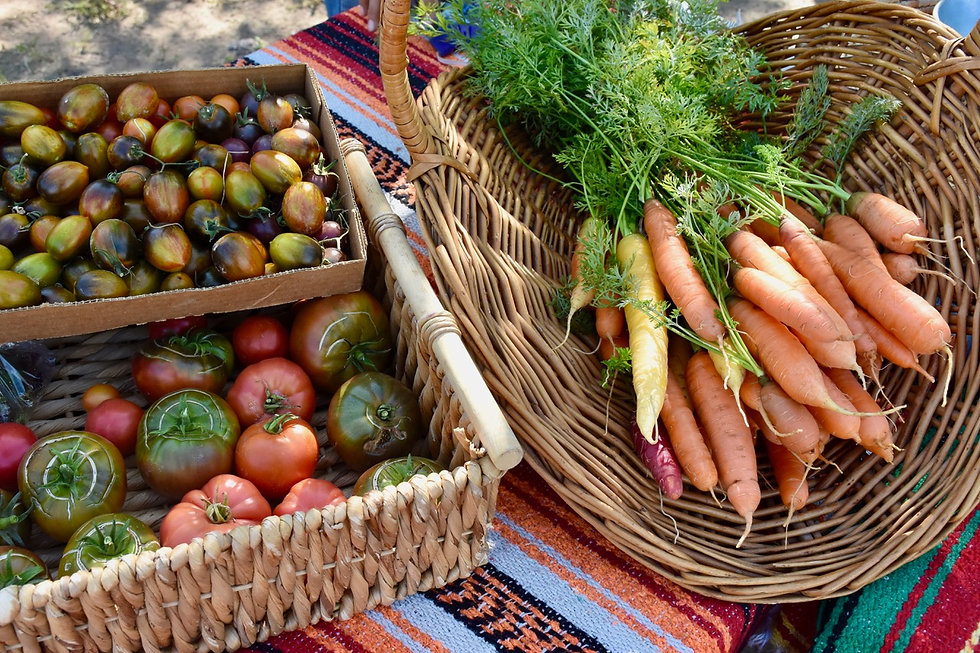 Luciente Abiquiu Farmers Market