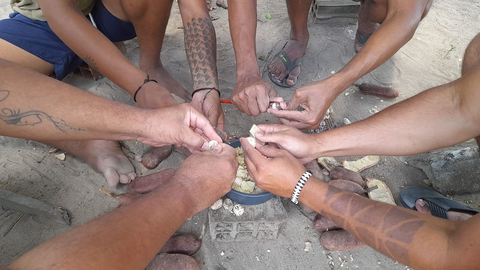 Imagem 4: Em ação coletiva de beneficiamento de sementes de jatobá, integrantes da Rede Curica realizam a retirada da polpa dos frutos para produção de mudas nativas. A atividade integra as estratégias comunitárias de conservação da sociobiodiversidade e recuperação de áreas degradadas no Território Indígena Potiguara.
