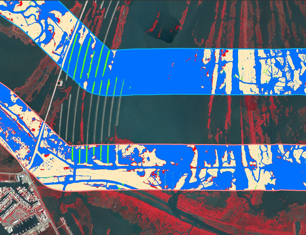 Louisiana Offshore Oil Port | Environmental Monitoring Program
