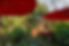 2015_Ambiance_Zne 3_7.jpg