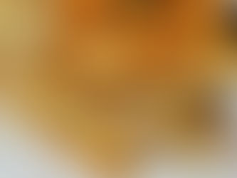 Cerdo agridulce con base de rollo primavera