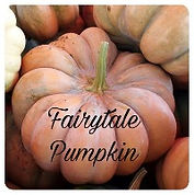 Fairytale Pumpkin_edited.jpg