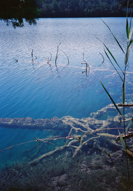 Under Water