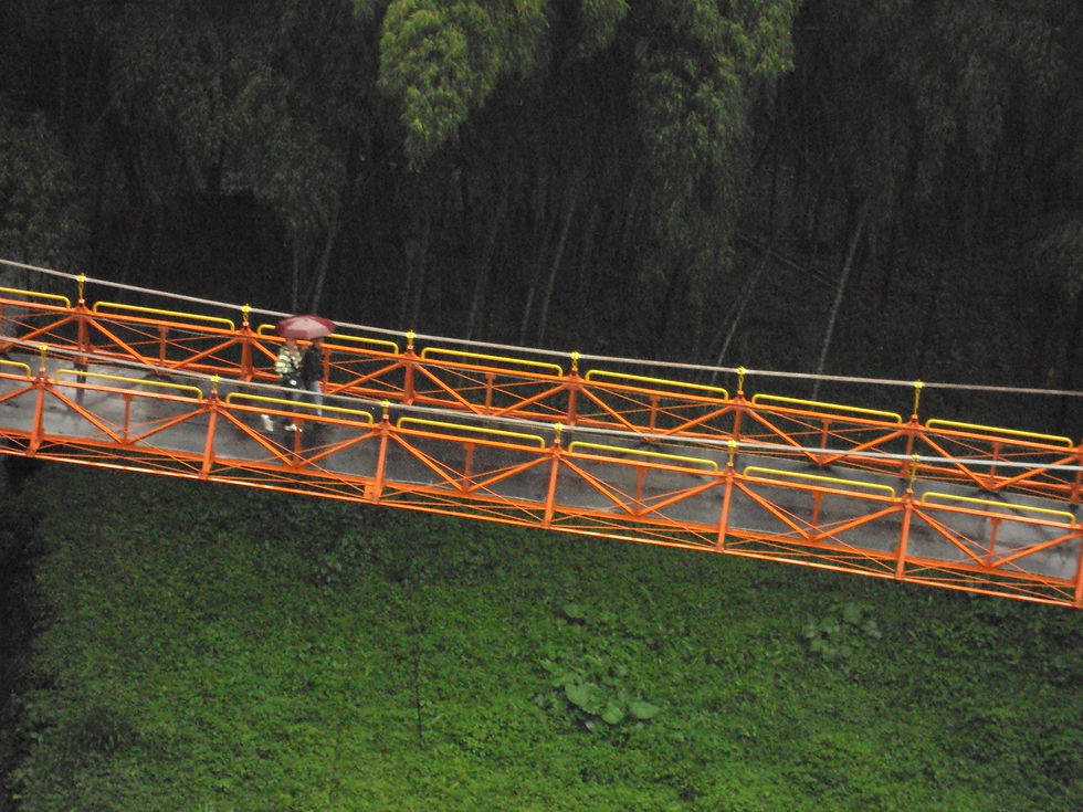 PDCAFE-julio-2010 (234).JPG