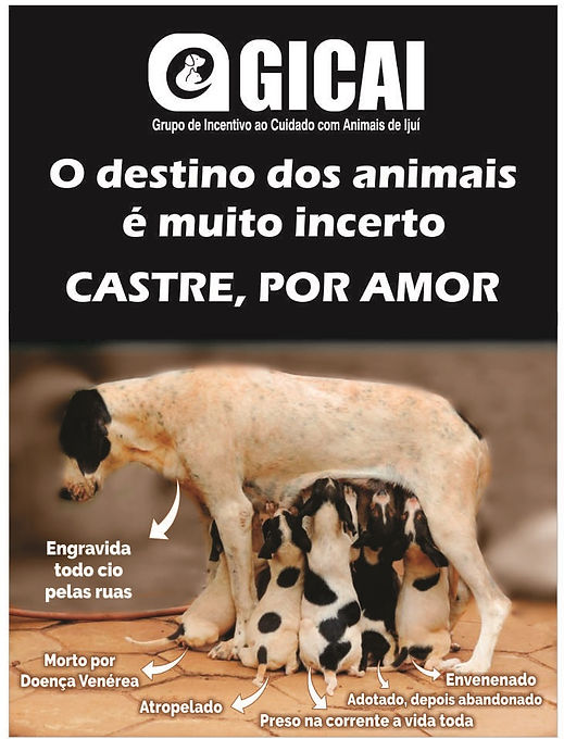 campanhacastre.jpg