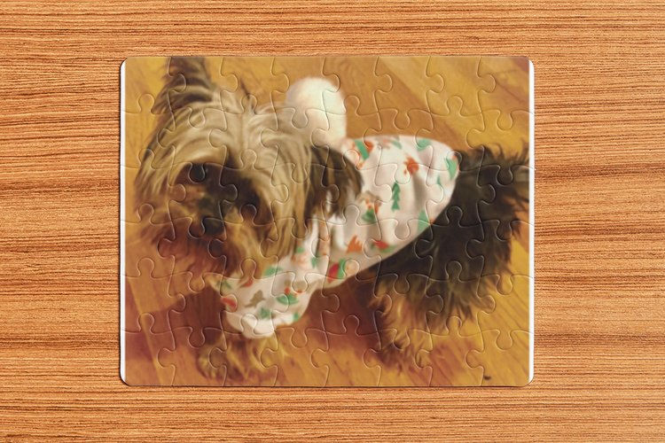 Thumbnail: Custom Photo Puzzle