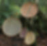 Screenshot_20221006-222434__01.jpg