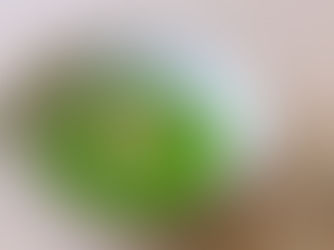 Green Soup