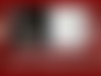 Safe in India Foundation – Annual Review 2025.