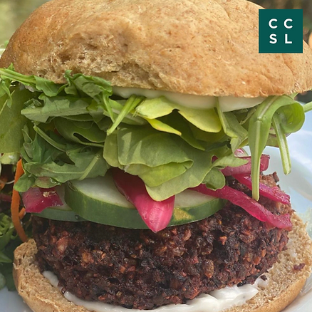 plant based vegan beetroot burger for office staff in Ireland