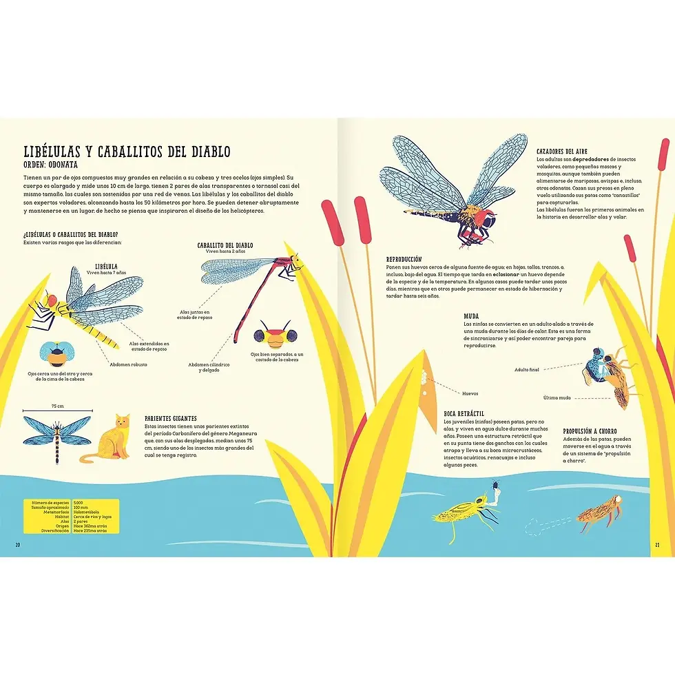 Miniatura: Insectopedia