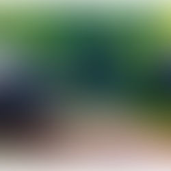 Our Cape York Adventure!